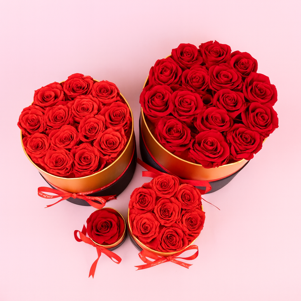 Seau de Roses Éternelles
