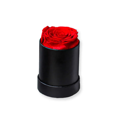 Rose Fraîche Éternelle en Seau Rond - Fleur Unique Préservée - Cadeau Noël, Saint-Valentin, Fête des Mères - Décoration M