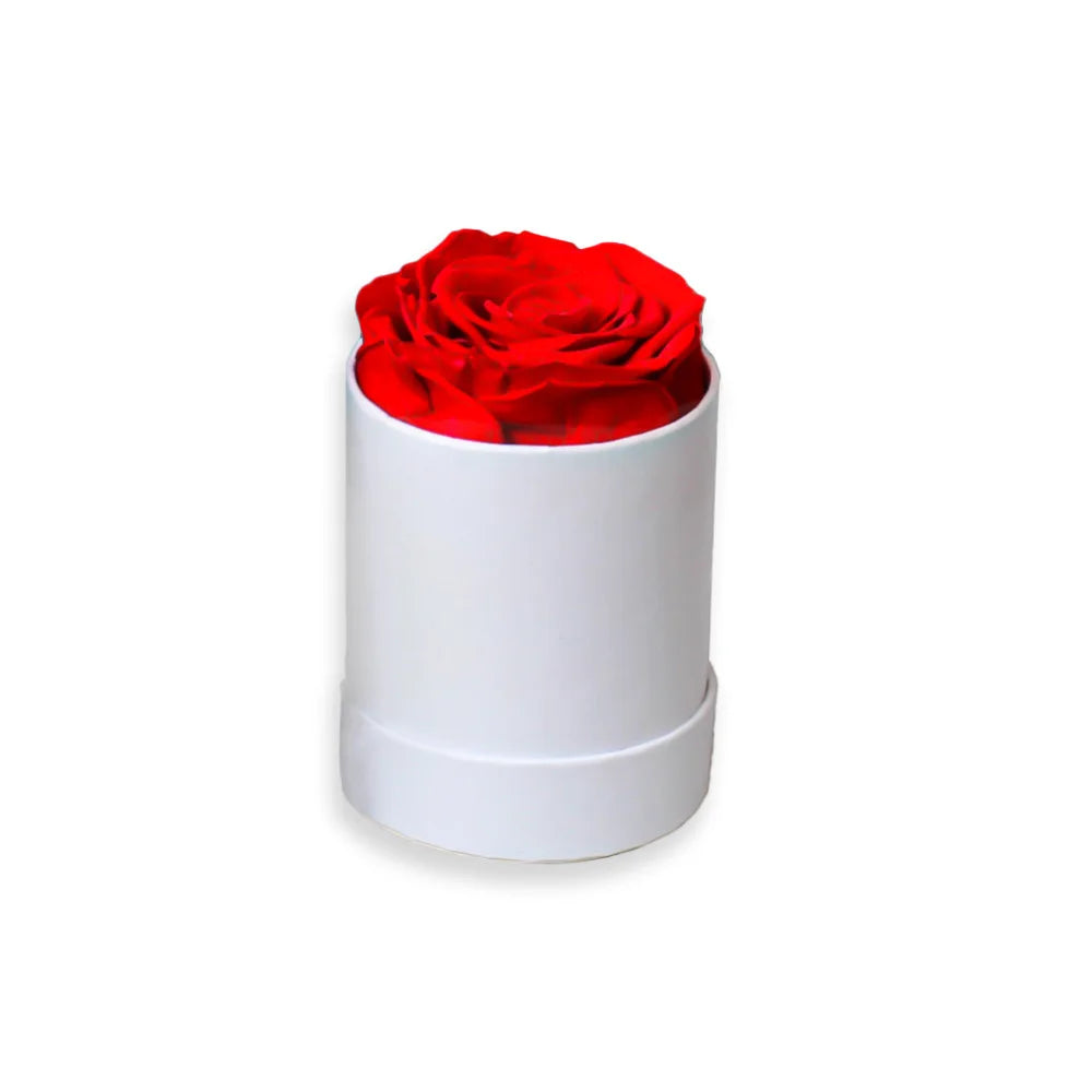 Rose Fraîche Éternelle en Seau Rond - Fleur Unique Préservée - Cadeau Noël, Saint-Valentin, Fête des Mères - Décoration