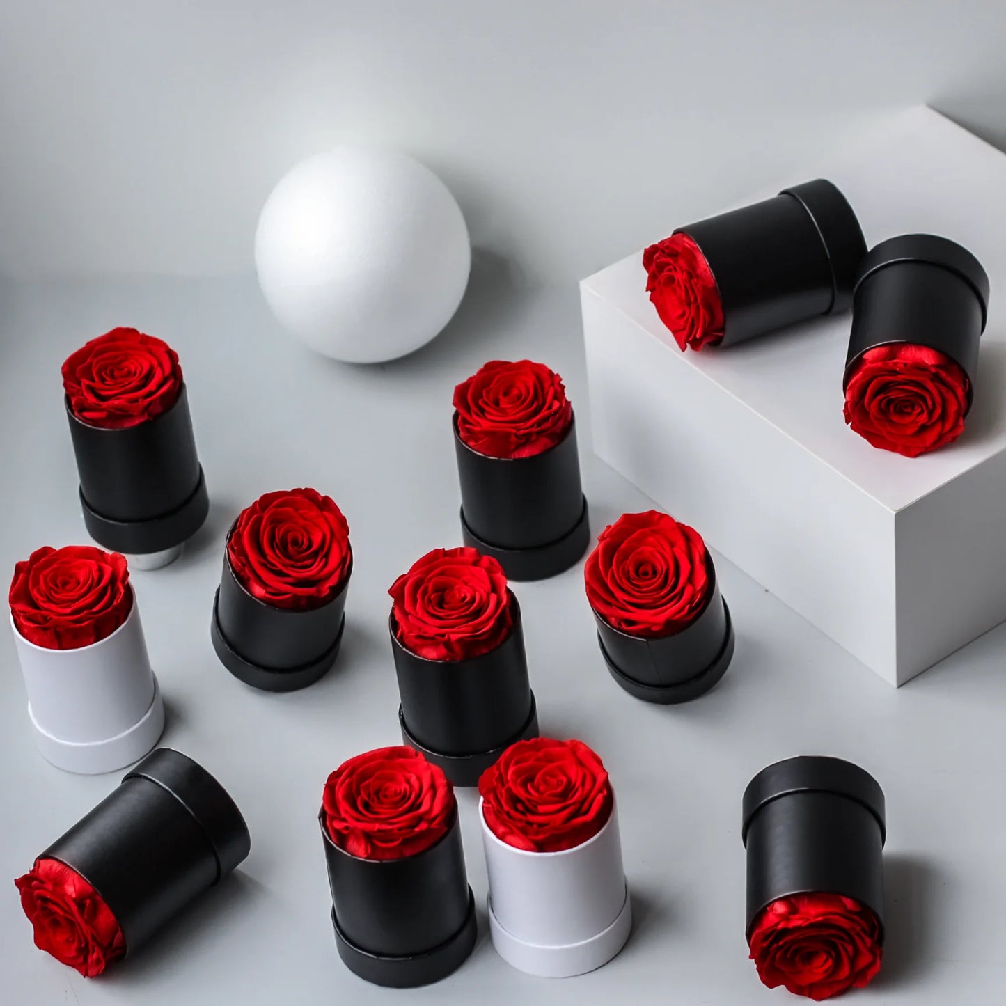 Rose Fraîche Éternelle en Seau Rond - Fleur Unique Préservée - Cadeau Noël, Saint-Valentin, Fête des Mères - Décoration M